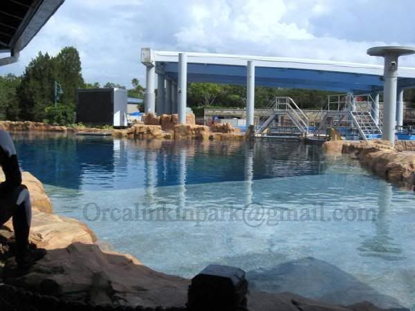 Dine With Shamu F.A.Q. Thread | The DIS Disney Discussion Forums